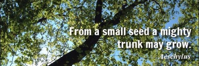 joyousimplicity's profile banner image