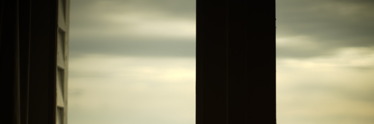lalforest's profile banner image