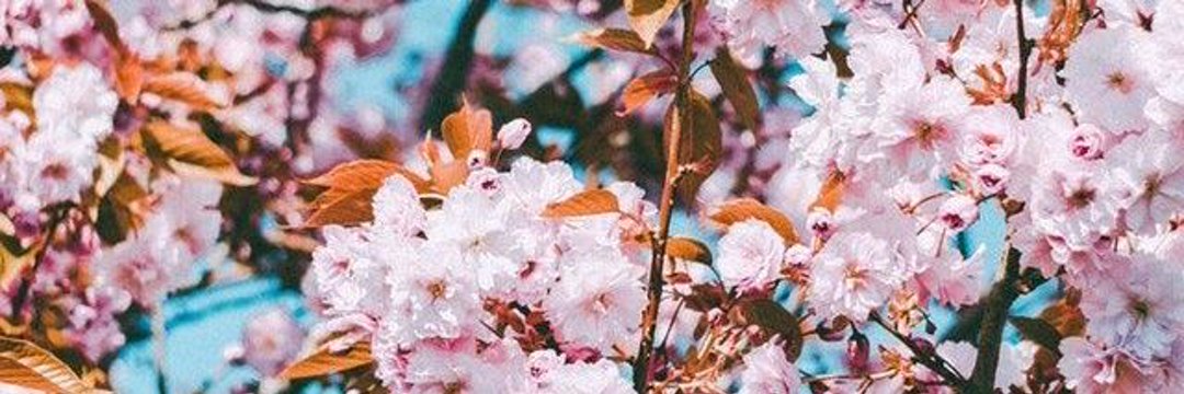 Andrea_rc8's profile banner image