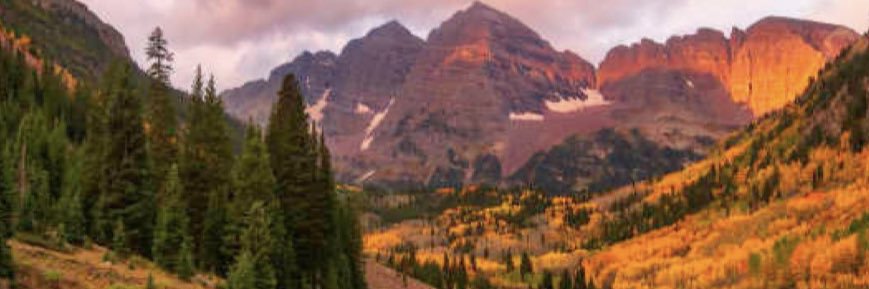 Sloane English DeFeo banner