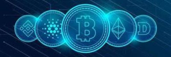 crypto_chiz Profile Banner