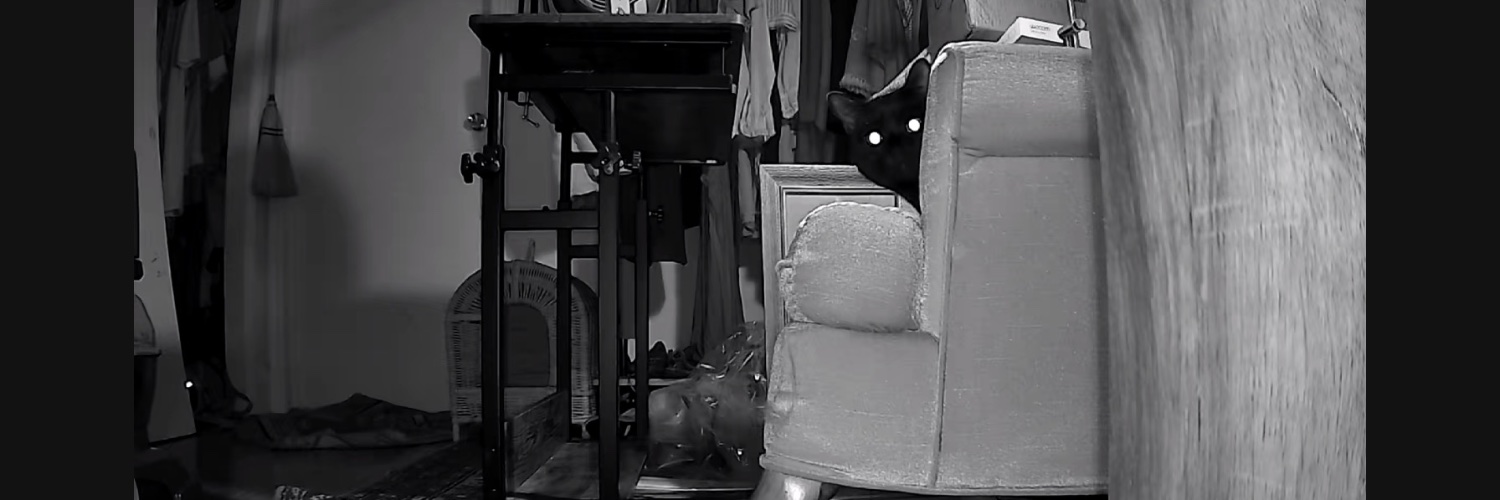 kickinson's profile banner image