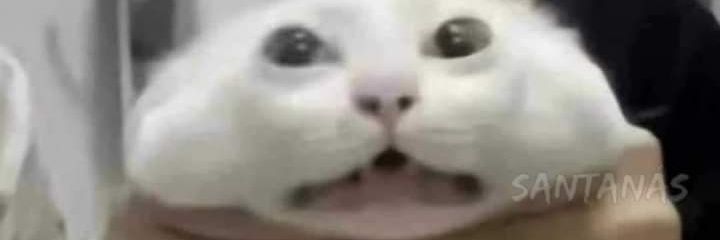 HitomixL's profile banner image