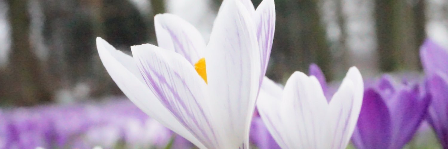 emkaf3's profile banner image