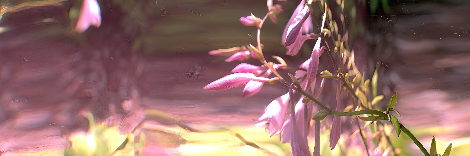 diid's banner