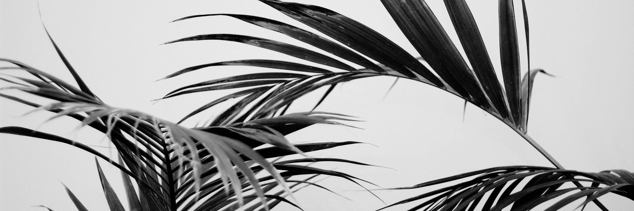 patymode's profile banner image