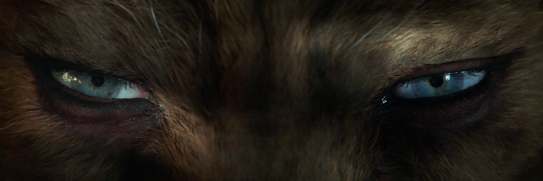 GerardoBalan's profile banner image