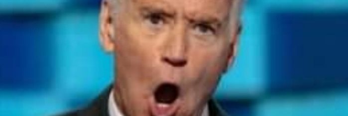 Biden Our Time banner