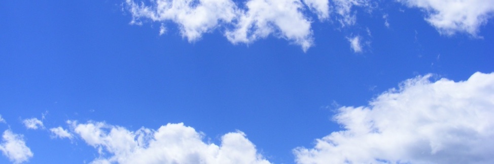 Yasmin Gonçalves banner