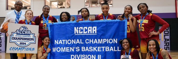 Simmons College Lady Falcons Profile Banner