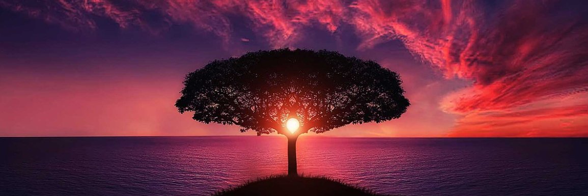 lesyeuxdehani's profile banner image