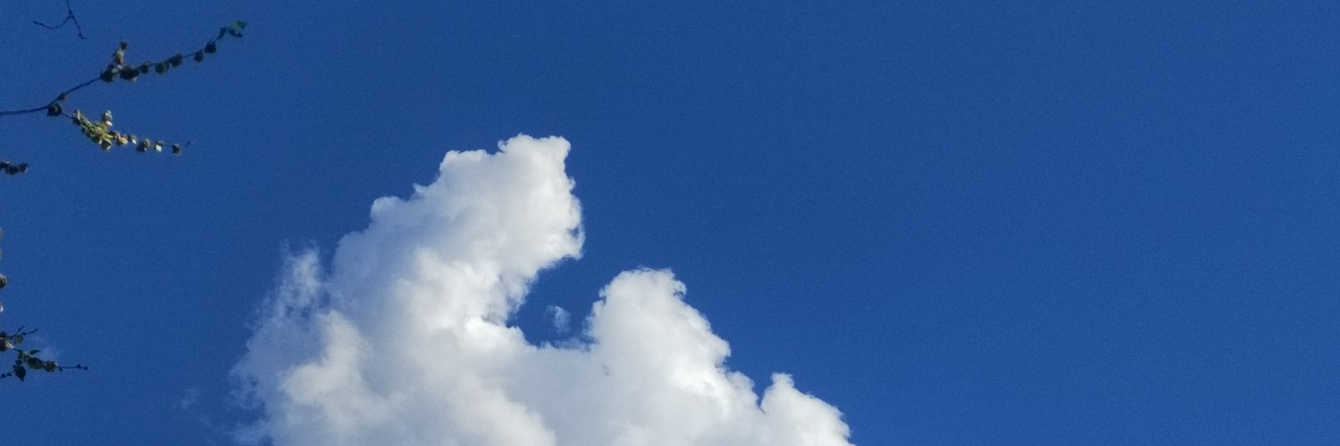 mean2Lady's profile banner image