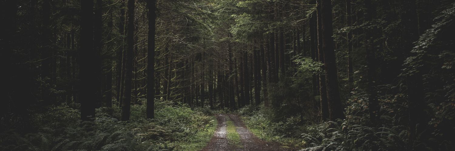 reznovdj's profile banner image