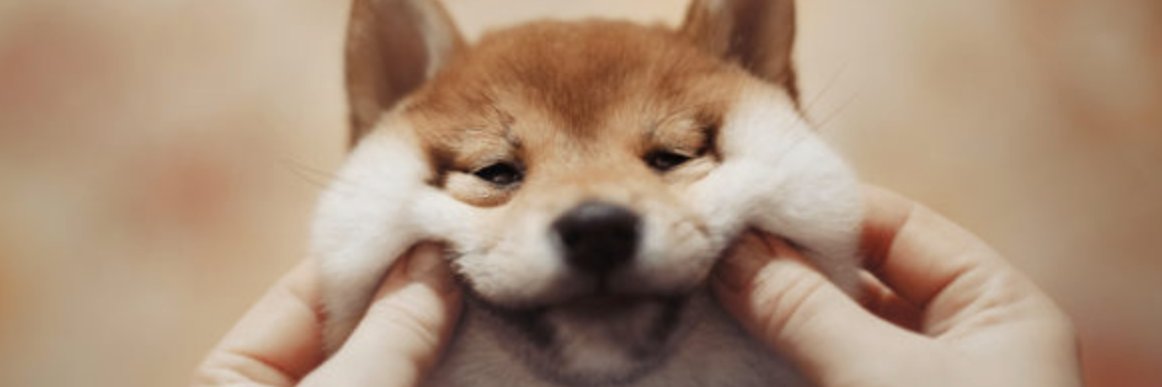 doooookyy's profile banner image