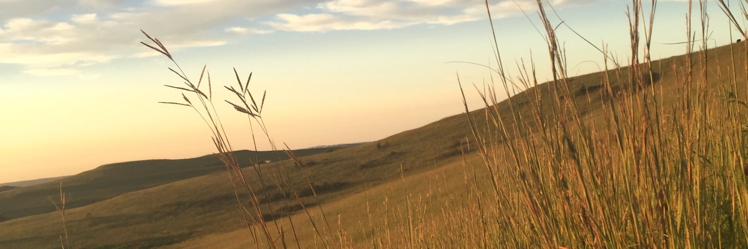 Candace Gatson Smart banner