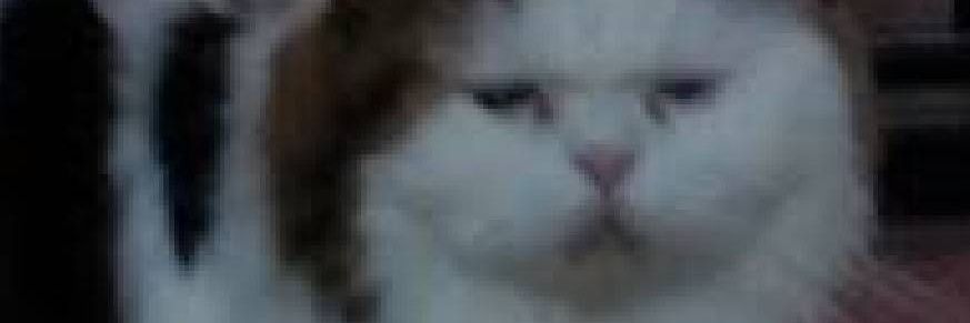 maxi2539's profile banner image