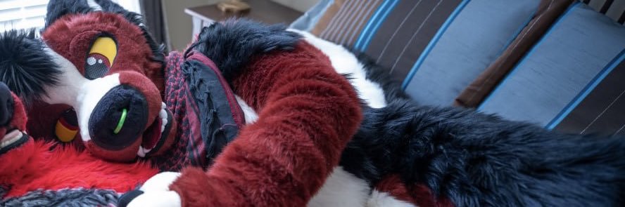 RennFoxx banner