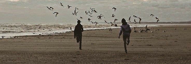 holangland🪷 banner