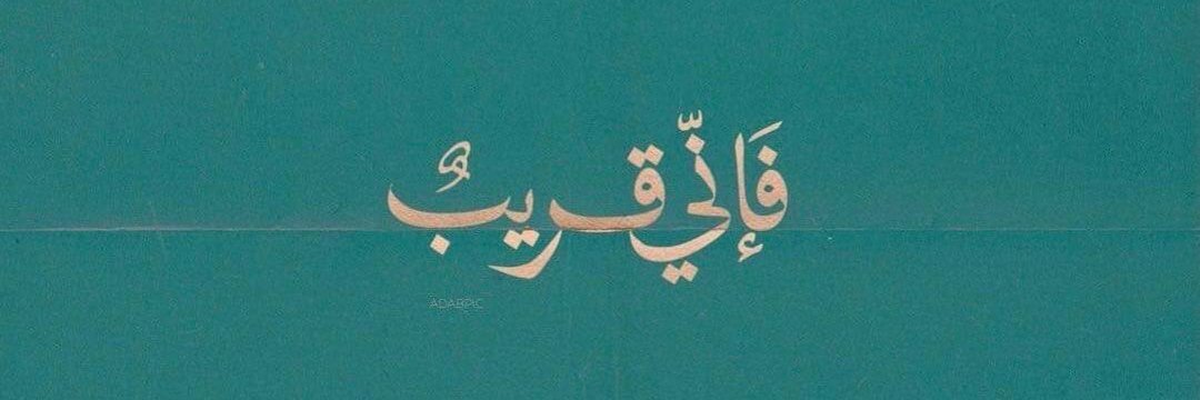 👑 سنفور 👑 banner