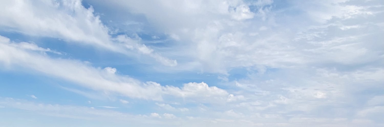 industriousbird banner