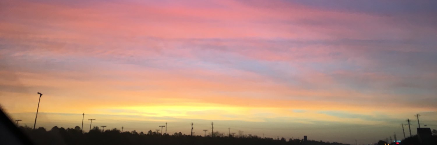 mamygillis's profile banner image