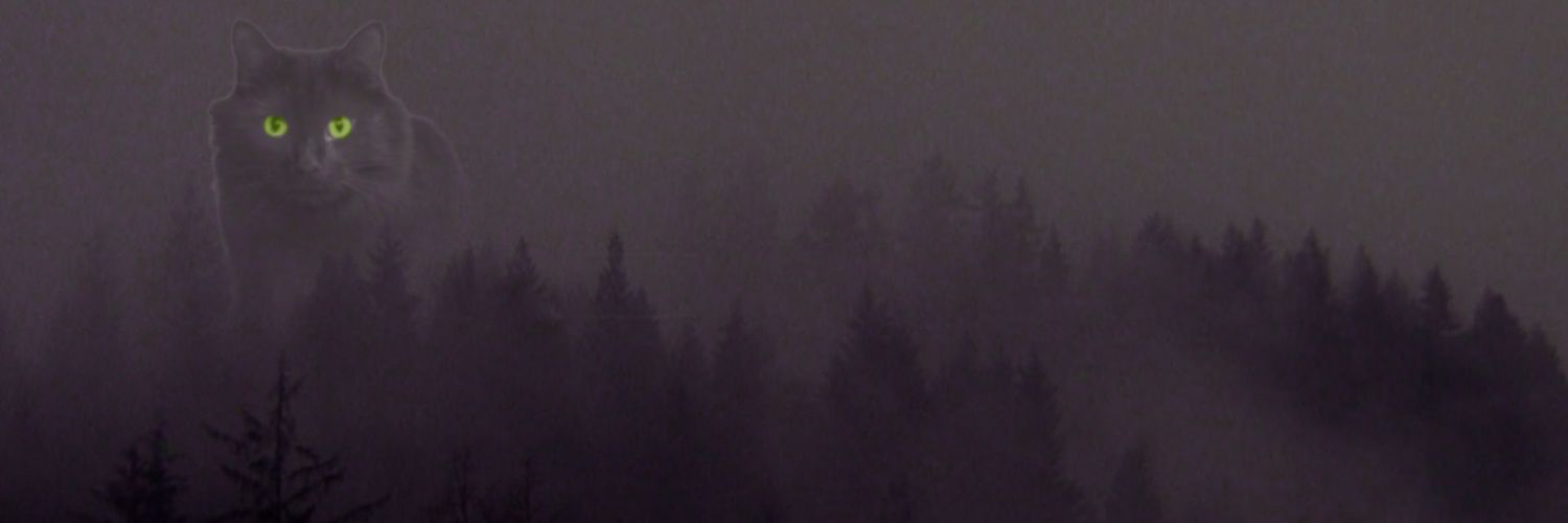 jrdntlrdvs's profile banner image