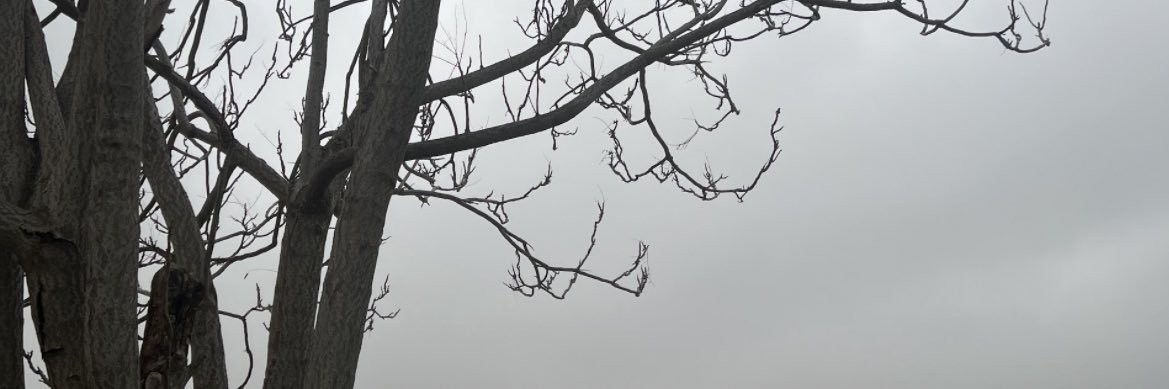 ossyyy2's profile banner image