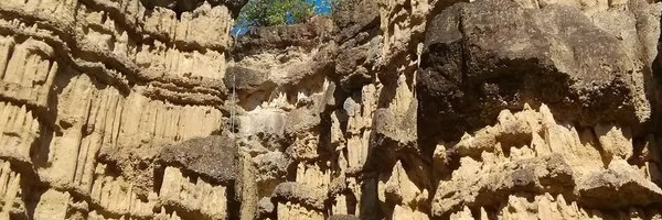 petergrijs Profile Banner