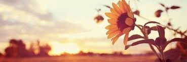 Aisa_Q's profile banner image