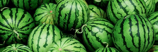 Watermelon Man banner