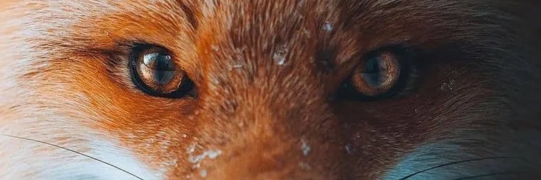 sammonaghan85's profile banner image