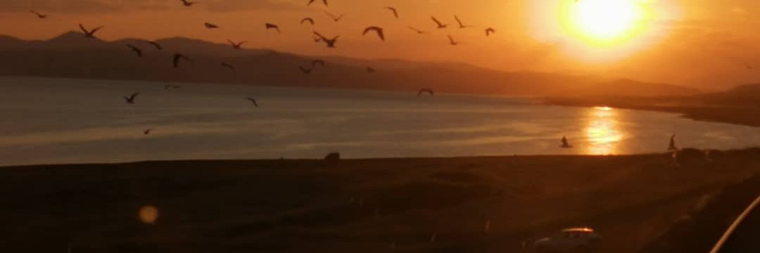 Harputtlu's profile banner image