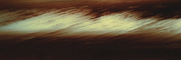withtom_ Profile Banner