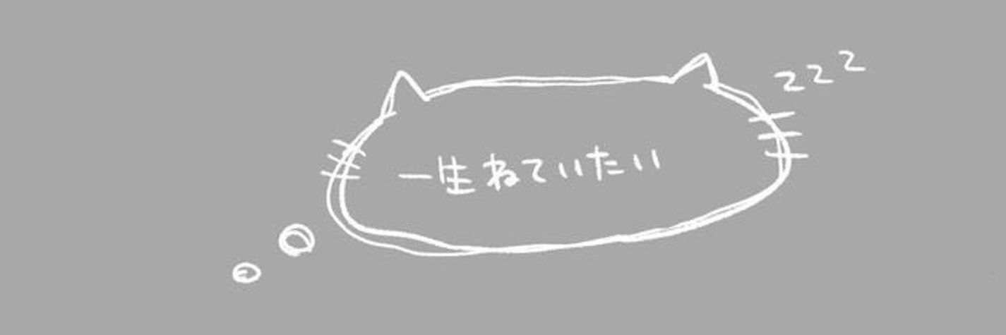 uta_seiheki's profile banner image