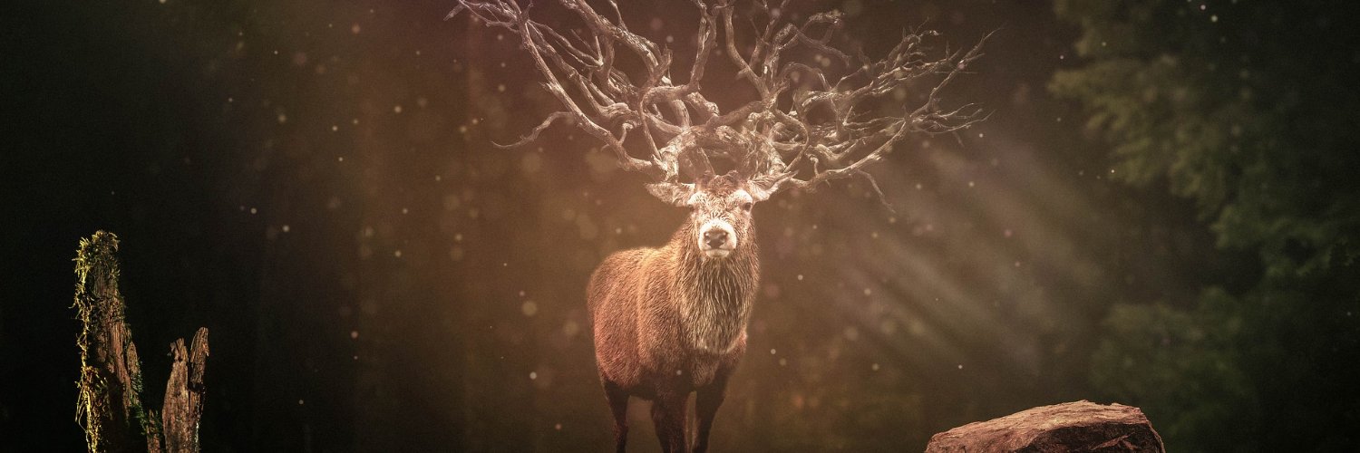 ɢấυинồιвσм | Runes Chain 🟧 banner