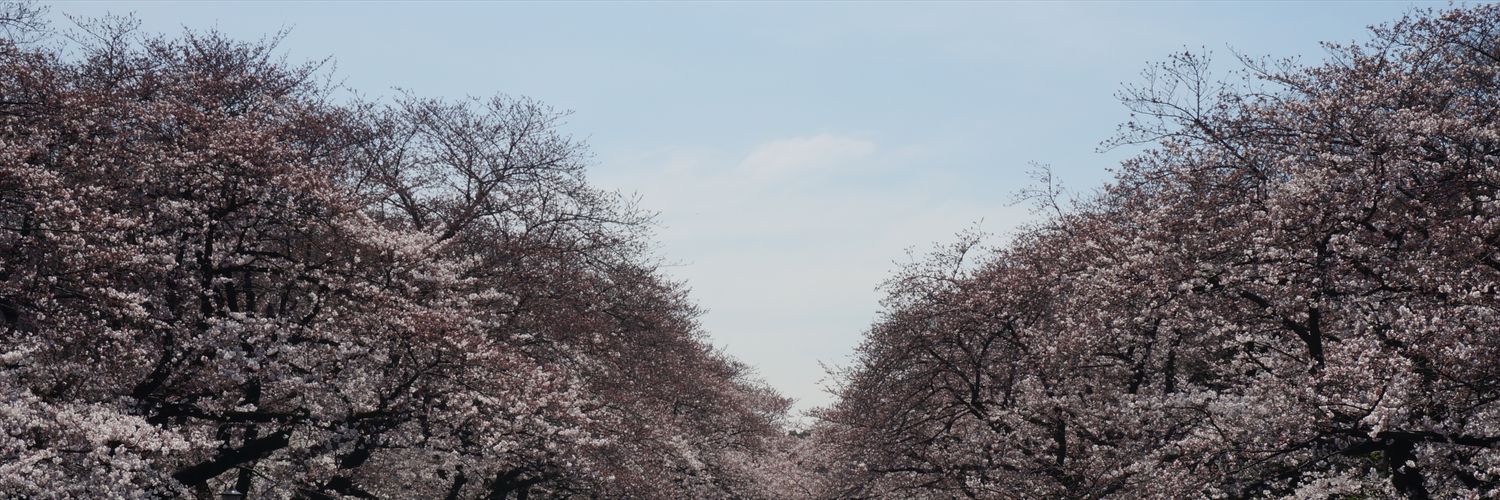 dmsgid0808's profile banner image