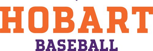FLX Baseball Camps banner