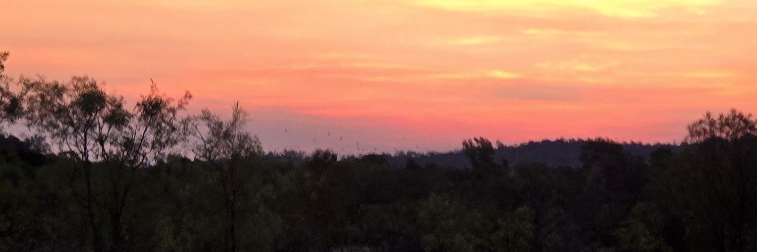 socialaddictify's profile banner image