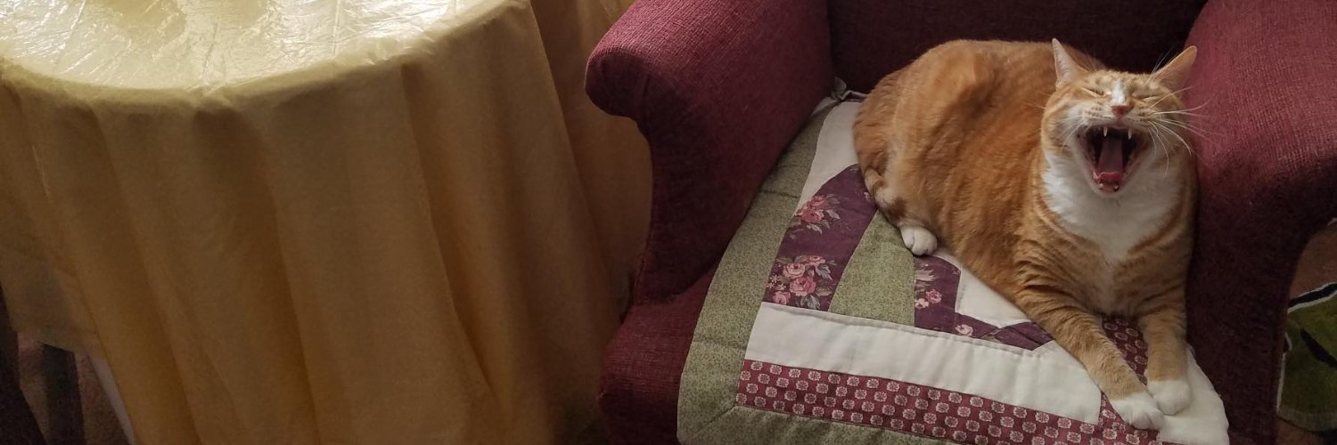 MarceCloud the Halloqueen 🎃 banner