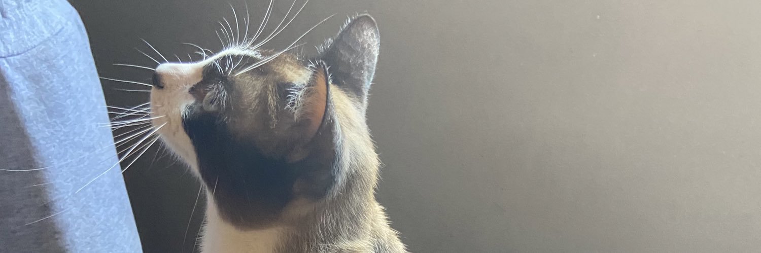KingHelloKity's profile banner image