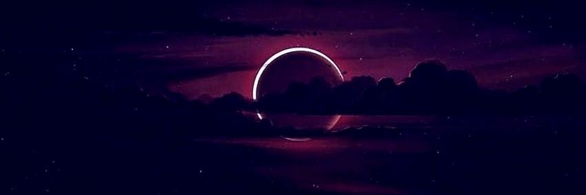 CALLISTEM0N's profile banner image