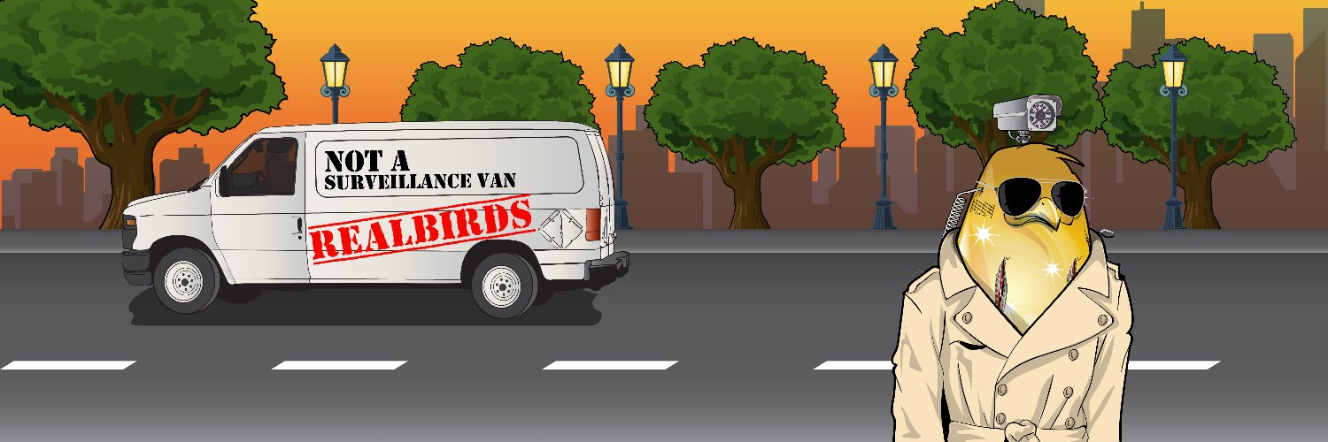 RealBirds (SOL Mint SOON) 🐦📡 banner