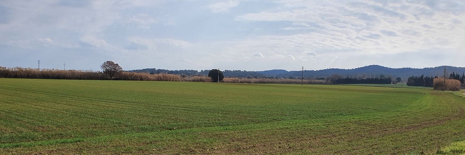 MariaSalvadoF's profile banner image