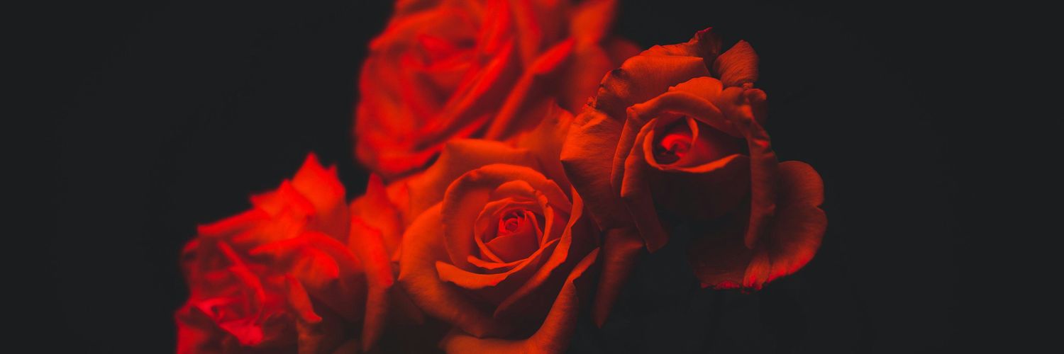 steveneptune's profile banner image