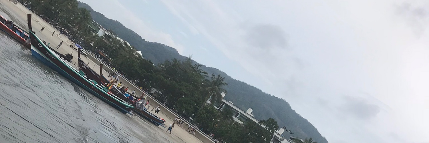 喜猪🐷熊🐻 banner