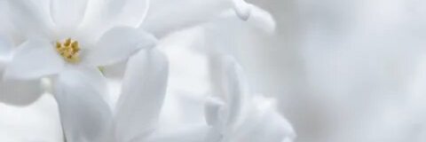 ChristiThomasA's profile banner image