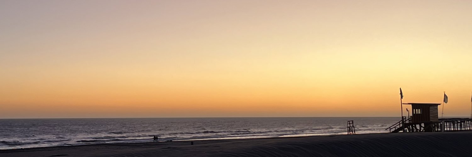 saimonressia's profile banner image