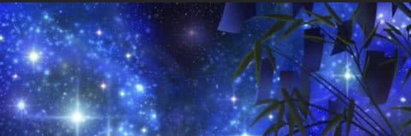 ayeeeitzelliee's profile banner image