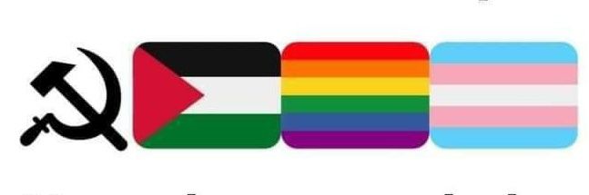 Kefuerte 🇮🇷🙈🐷🏳️‍🌈♦️🍌 banner