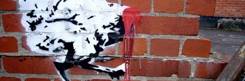 experimentalQT's profile banner image